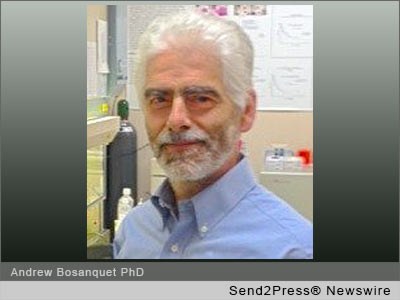 Andrew Bosanquet PhD
