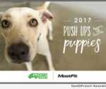 Push Ups for Puppies 2017