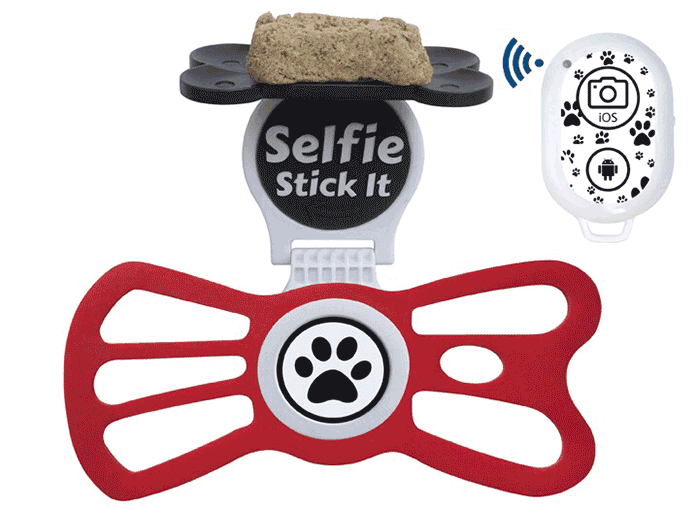 Selfie Stick It - animation