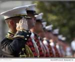 U.S. Veterans Salute the Fallen