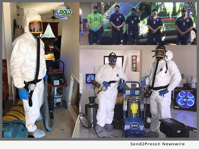 Miami Mold Specialist - Florida