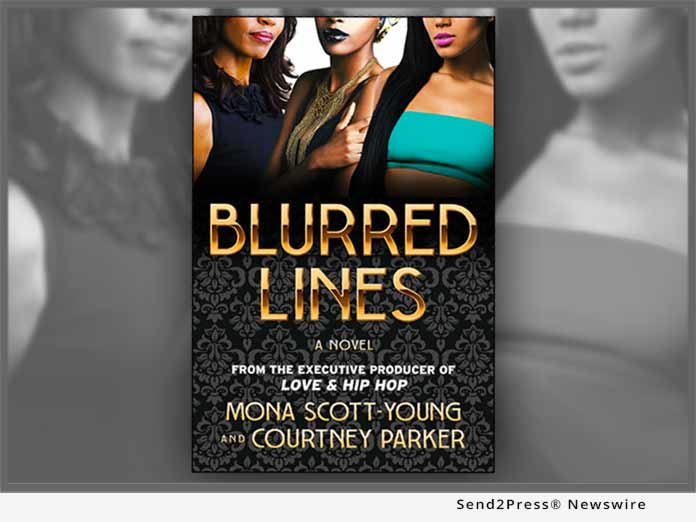 Book: Blurred Lines a Novel