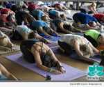 DFW Free Day of Yoga