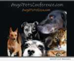 Angel Pets Conference 2019