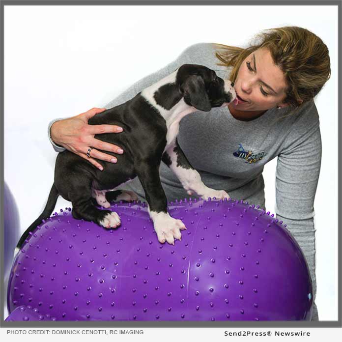I Pest fattige Dr. Jean Dodds to Headline Second Annual Healthy Dog Expo in New York -  Send2Press Newswire