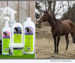 Equi-Spa Products and Missy