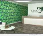 Ohio Marijuana Card Lobby