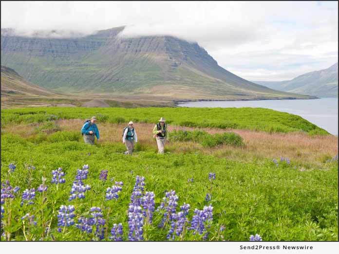 Country Walkers - Iceland