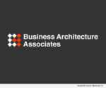 Business Architecture Associates