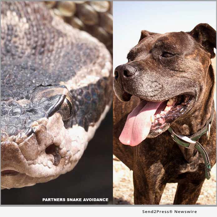Partners Snake Avoidance - Arizona