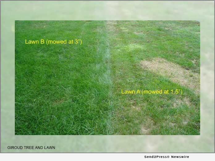 Lawn Care In Athens Ga