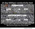 Northern White Sand Consortium