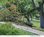 Derecho Damage in Spring Valley, IL