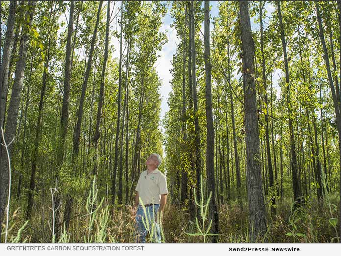 GreenTrees carbon sequestration forest