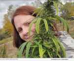 Marijuana Mom Debi Madaio