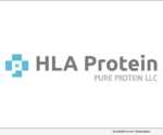 HLA Protein - Pure Protein LLC