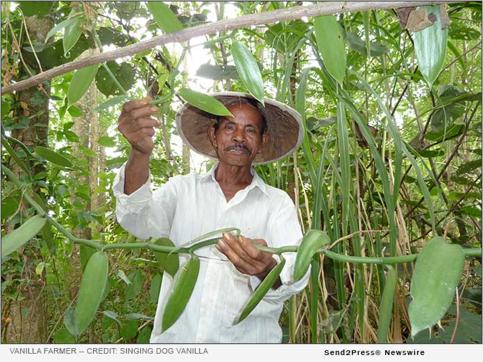 Vanilla Farmer in Indonesia - Credit: Singing Dog Vanilla