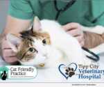 Tipp City Veterinary Hospital