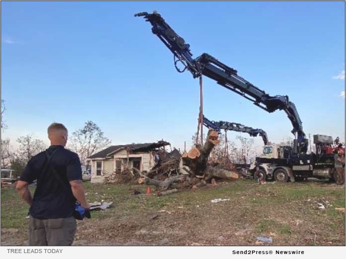 Tree Leads Today - Crane