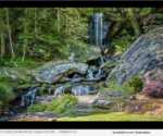 Senior Citizen to Auction Waterfall, Lake and Rustic Cabin