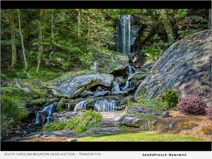 Senior Citizen to Auction Waterfall, Lake and Rustic Cabin