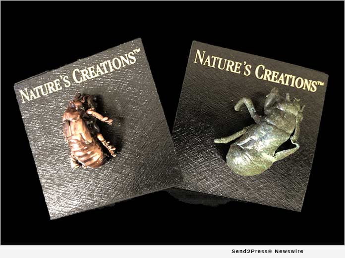 News from Nature's Creations