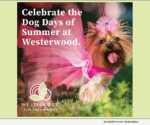 Dog Days of Summer at Westerwood