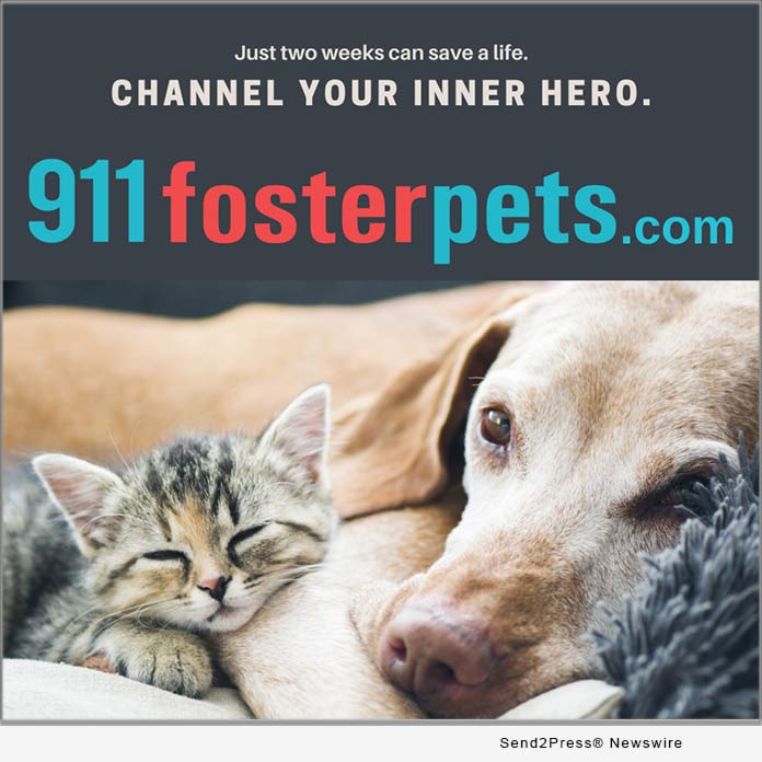 911fosterpets - 911 foster pets