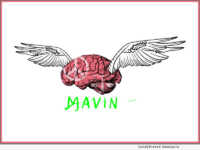 MAVIN App