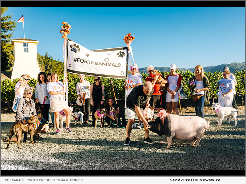 Pet Parade. Photo credit is Emma K. Morris.