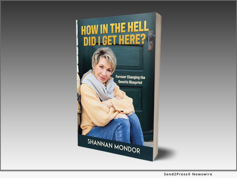 How in the Hell Did I Get Here? by Shannan Mondor