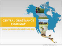 Central Grasslands Roadmap