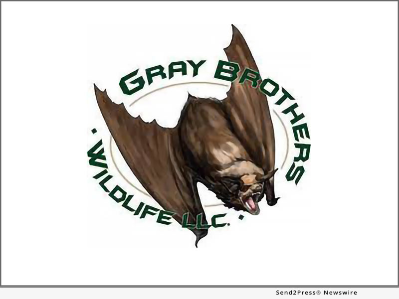 News from Gray Brothers Wildlife LLC