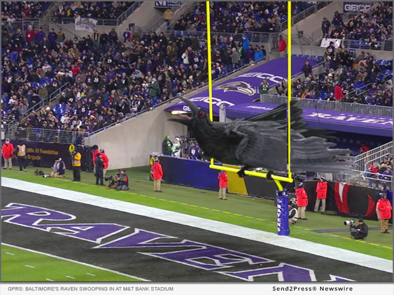 GPRS: Baltimore's Raven in 3D at Stadium