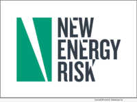 New Energy Risk