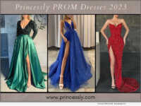Princessly 2023 Prom Dresses Collection