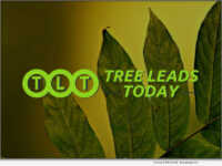 Tree Leads Today