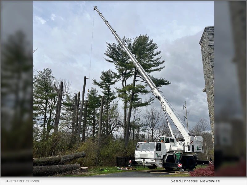 News from Jake's Tree Service