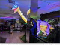 Dinos-A-Glow at Wonder of Dinosaurs