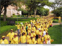 A sea of bright yellow fills the campus of Castle Kyalami