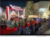 Winter Wonderland on Hollywood Boulevard