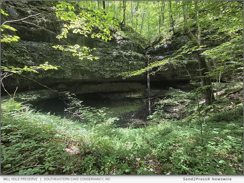 Southeastern Cave Conservancy, Inc - Mill Hole Preserve