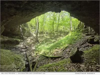 Southeastern Cave Conservancy, Inc - Mill Hole Preserve