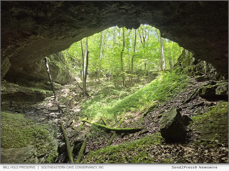 Southeastern Cave Conservancy, Inc - Mill Hole Preserve