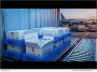 AAAbio Enhances Global Diagnostic Research Capabilities Through Strategic Local Distribution Networks