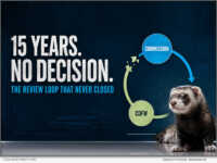 Fifteen years, same loop. California ferret advocates were told in 2011 that their environmental report was with the Department for review, with “no timing” for completion