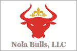 Nola Bulls LLC