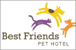 Best Friends Pet Hotel News Room